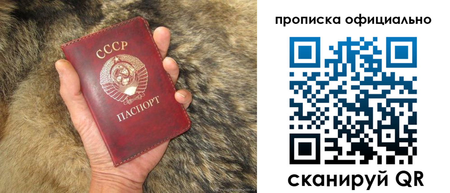 прописка паспорт в Зарайске